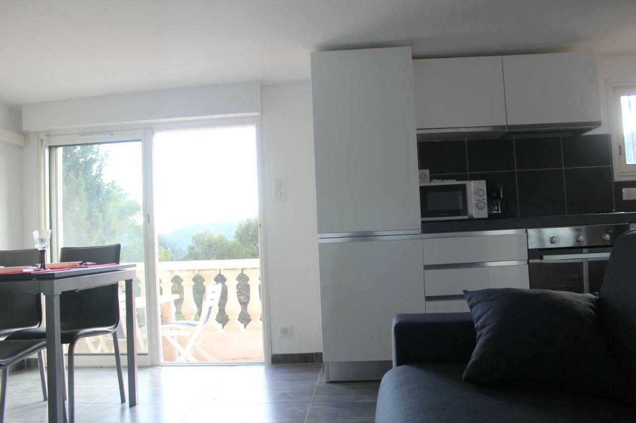 Charmante Villa A 15 Min De Nice Avec Piscine ブロサスク エクステリア 写真