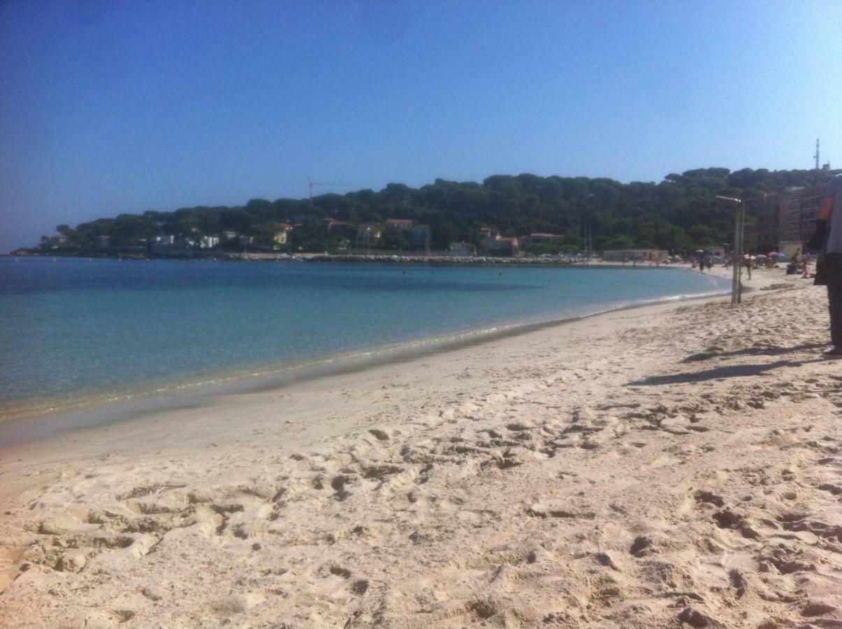 Charmante Villa A 15 Min De Nice Avec Piscine ブロサスク エクステリア 写真